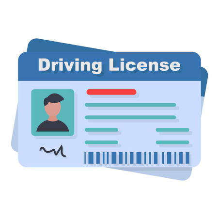 AAMVA Drivers License & ID Standards