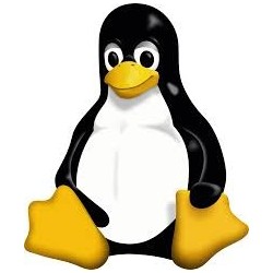 The Linux Command Line