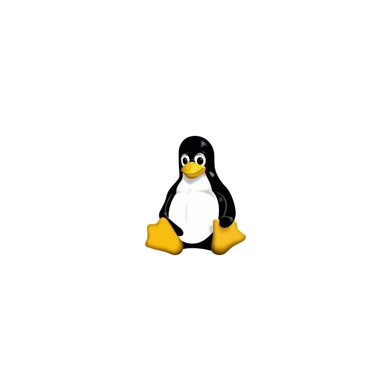 The Linux Command Line