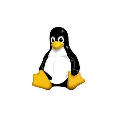 The Linux Command Line