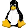 The Linux Command Line